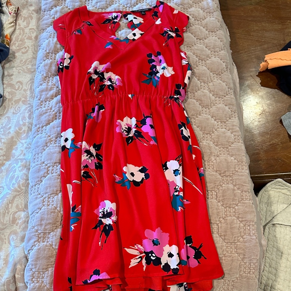 41 Hawthorn Red Floral Mini Dress